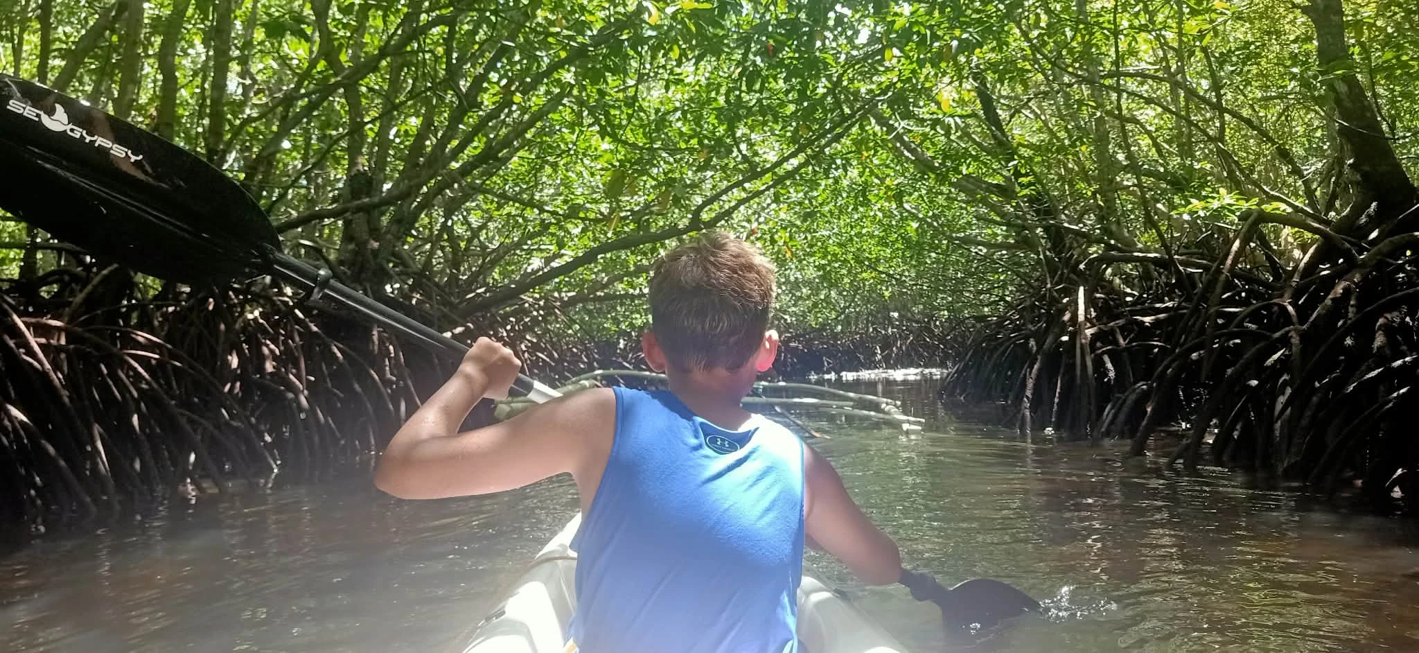 Mangrove Kayaking & Snorkeling Adventure